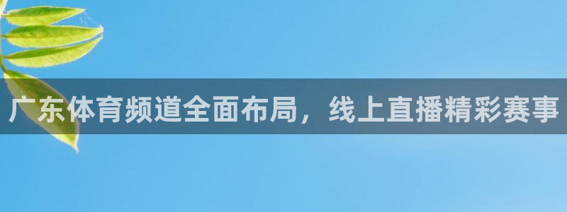 广东体育频道全面布局，线上直播精彩赛事