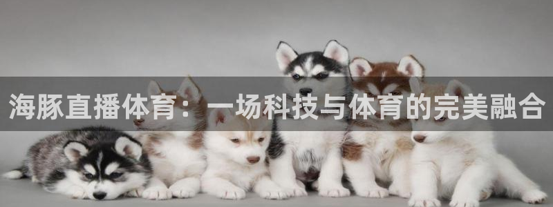 海豚直播体育：一场科技与体育的完美融合