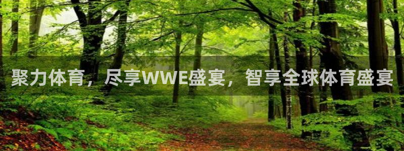 聚力体育，尽享WWE盛宴，智享全球体育盛宴