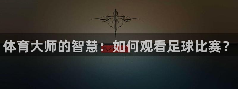 体育大师的智慧：如何观看足球比赛？