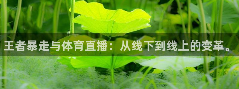 王者暴走与体育直播：从线下到线上的变革。