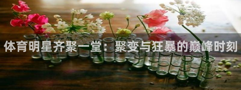 体育明星齐聚一堂：聚变与狂暴的巅峰时刻