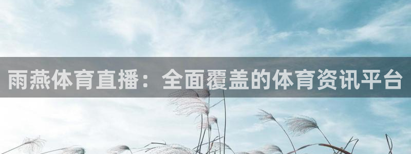 雨燕体育直播：全面覆盖的体育资讯平台