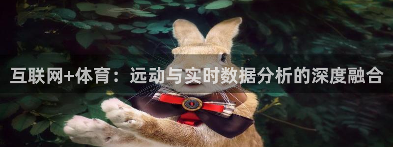 互联网+体育：远动与实时数据分析的深度融合